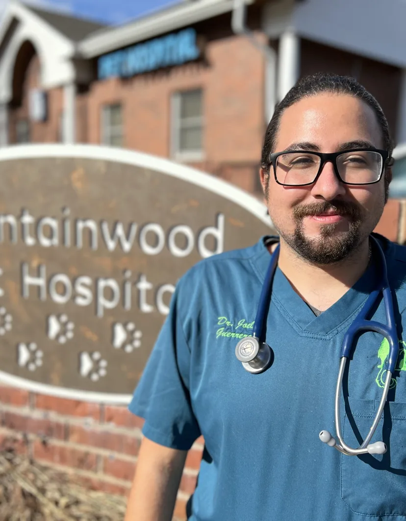Dr. Joel Guerrero, vet at Mountainwood Pet Hospital